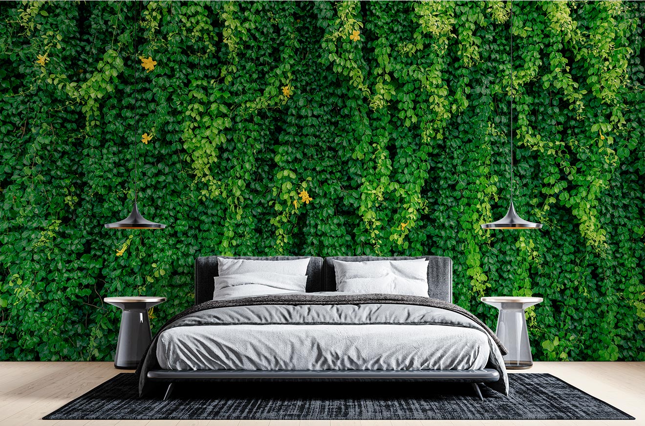 Green Vine Photo Wallpaper image 0
