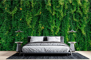 Green Vine Photo Wallpaper image 0