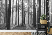 Forest sunrise in black and white wall mural image 2