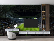 Crowded Stadium Wall Mural image 0