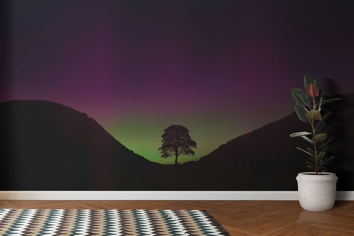 Sycamore Gap Tree Wall Mural image 0