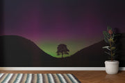 Sycamore Gap Tree Wall Mural image 0