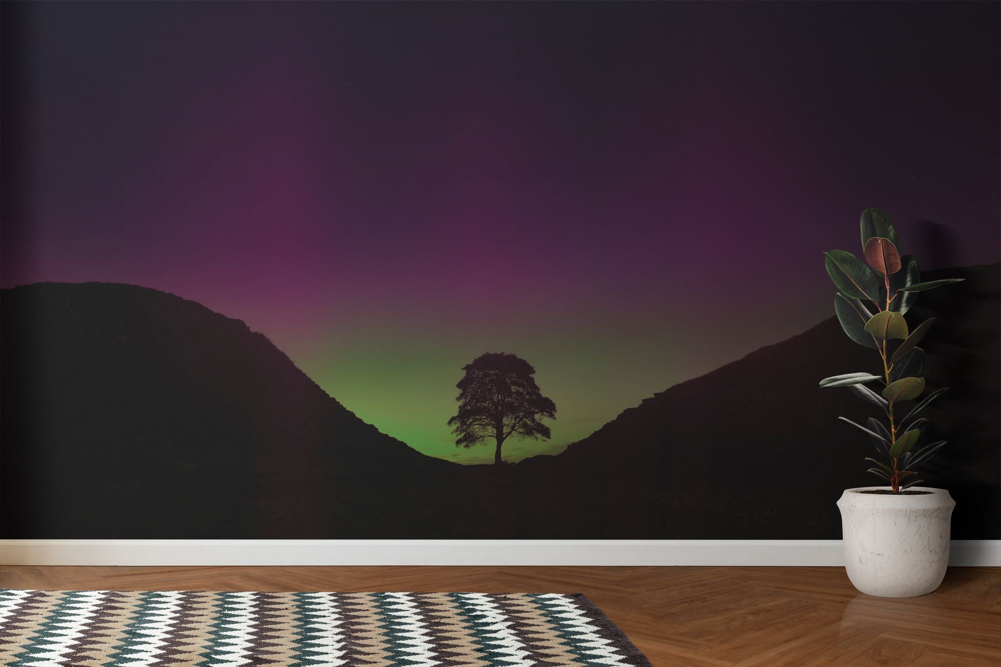 Sycamore Gap Tree Wall Mural image 0