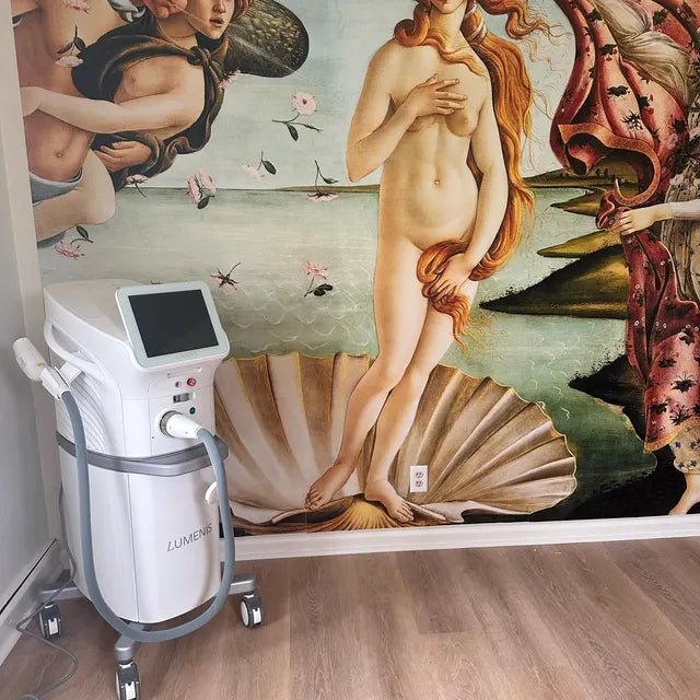 Birth of Venus Wallpaper Mural