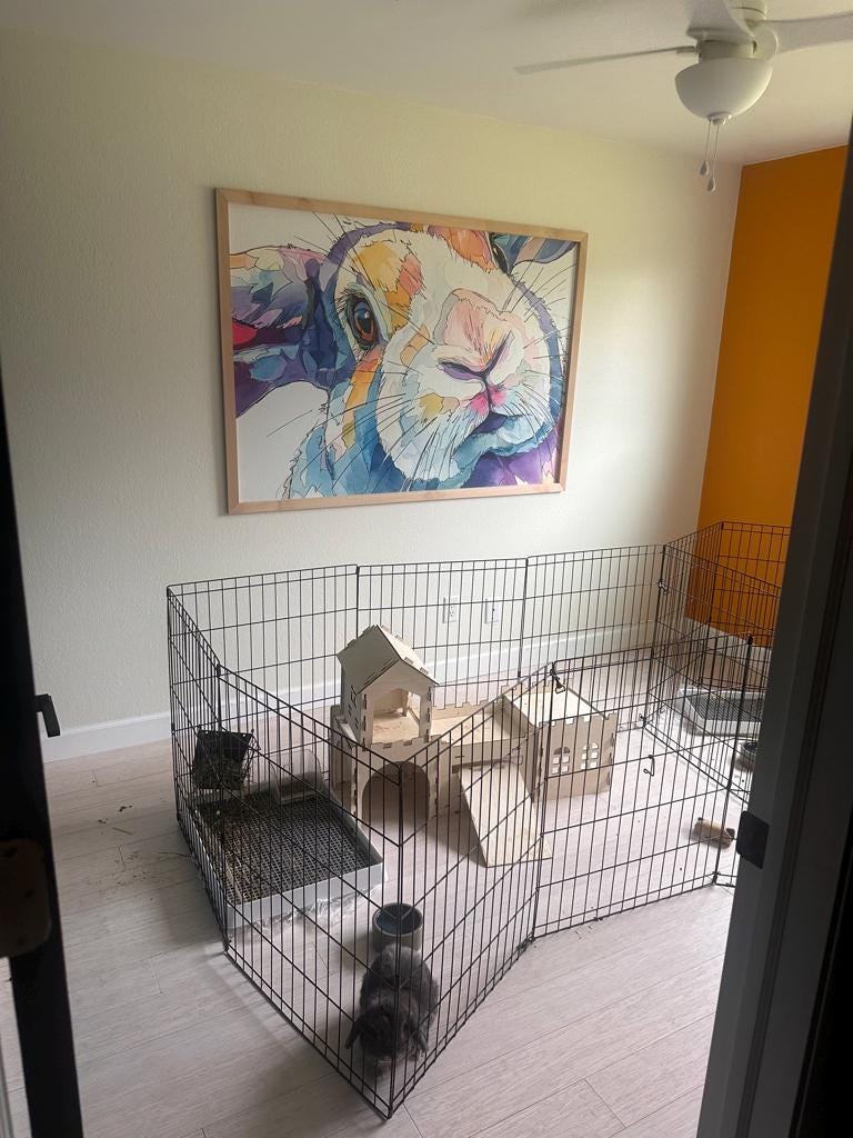 Colourful Watercolour Bunny Wall Mural