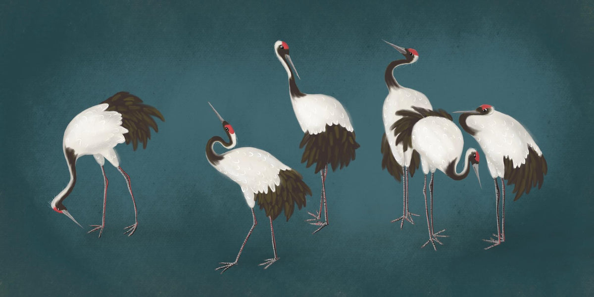 Teal Red-Crowned Crane Wall Mural – clean artwork for crop selection