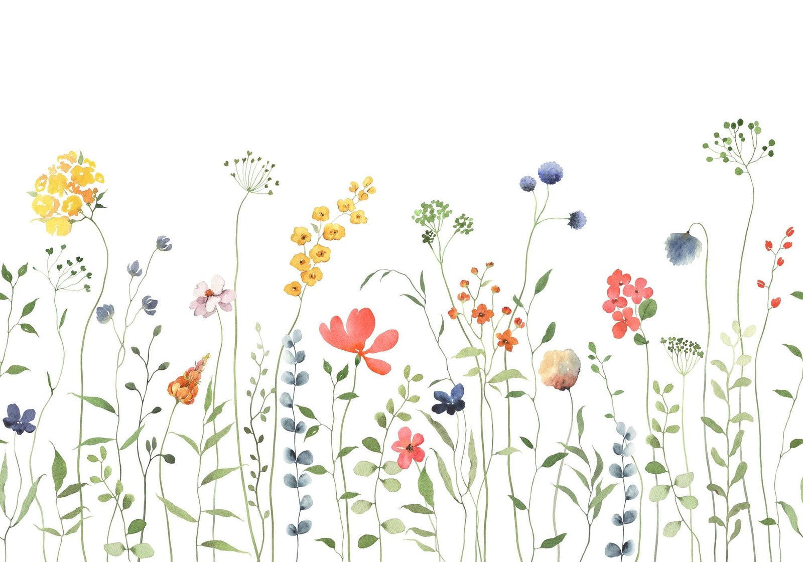 Illustration of various colorful flowers on a white background