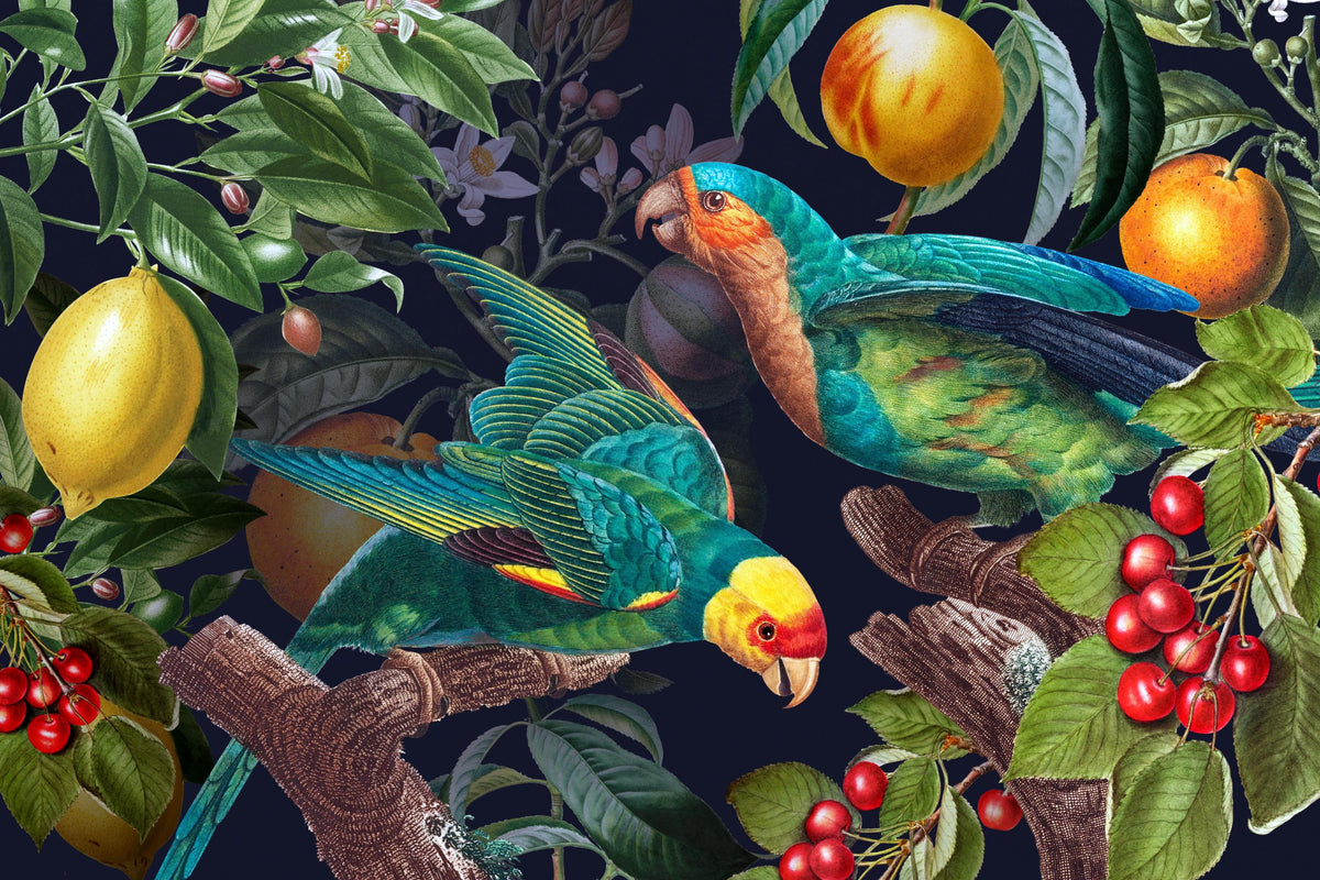 Illustration of parrots among fruits and foliage on a dark background