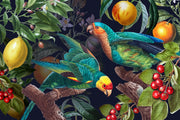 Illustration of parrots among fruits and foliage on a dark background