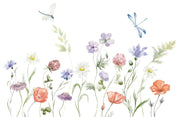 Illustration of various flowers and dragonflies on a white background