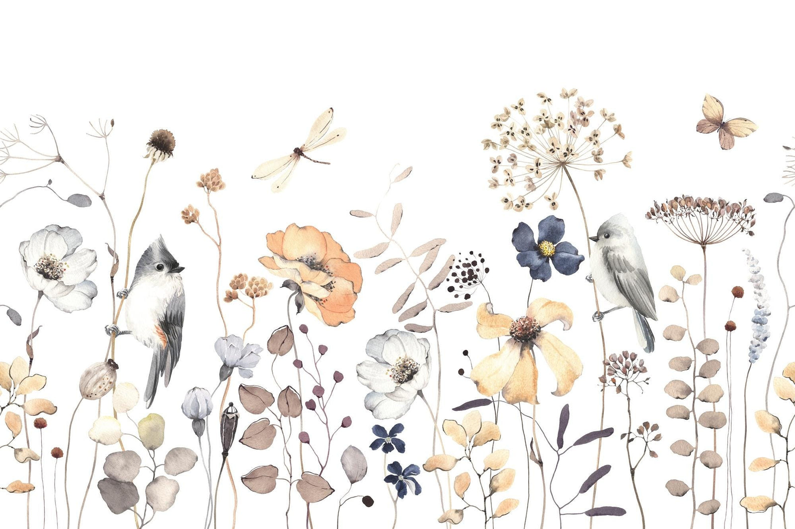 Illustration of birds and flowers on a white background
