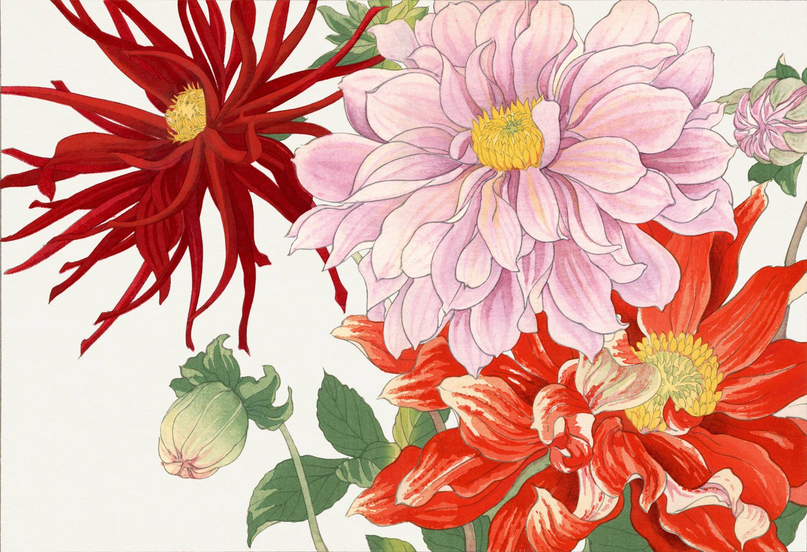 Oversized floral wall mural featuring red, pink, and yellow illustrated blooms with green leaves.