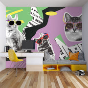 Retro pop art wall mural featuring black-and-white cats wearing colorful sunglasses, with a vibrant mix of geometric patterns, newspaper clippings, and bold colors.